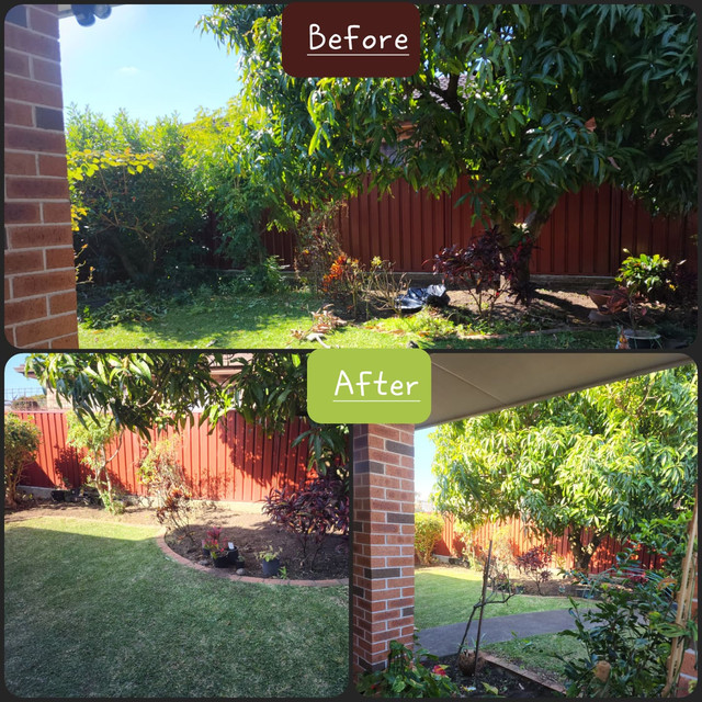 Backyard lawn after a full mow and tidy up