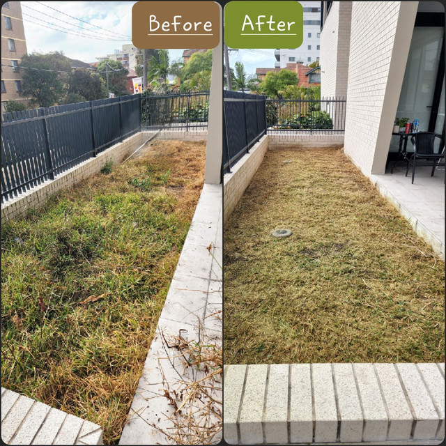 Garden beds weeded and maintained around a residential property