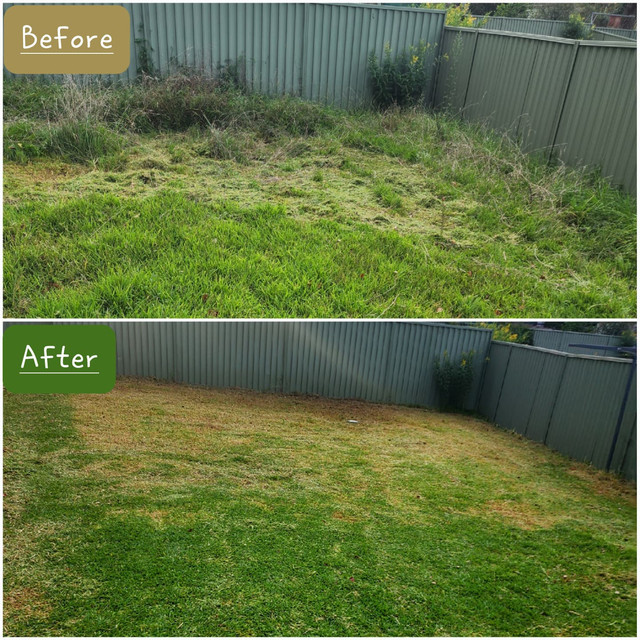 Lawn and surrounding garden after a completed maintenance visit